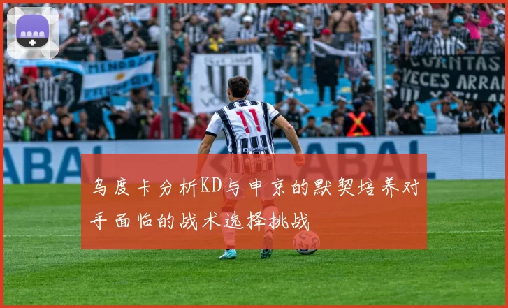 乌度卡分析KD与申京的默契培养对手面临的战术选择挑战
